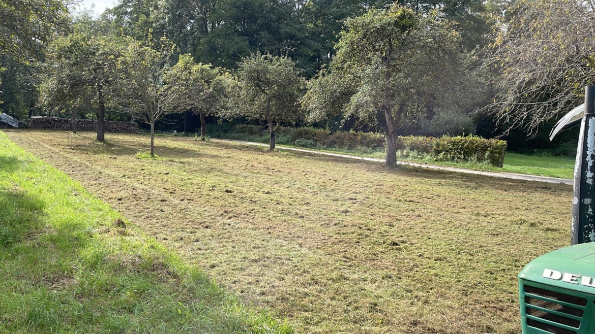 Rasenarbeiten